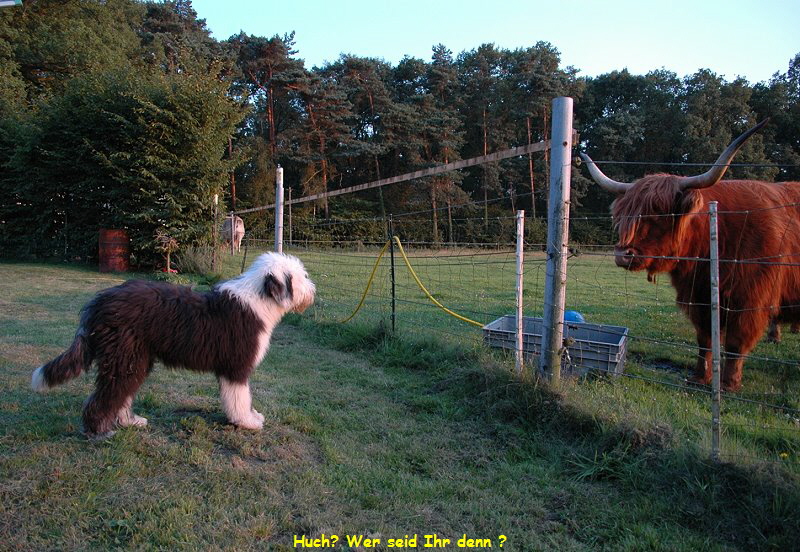 Huch? Wer seid Ihr denn ?