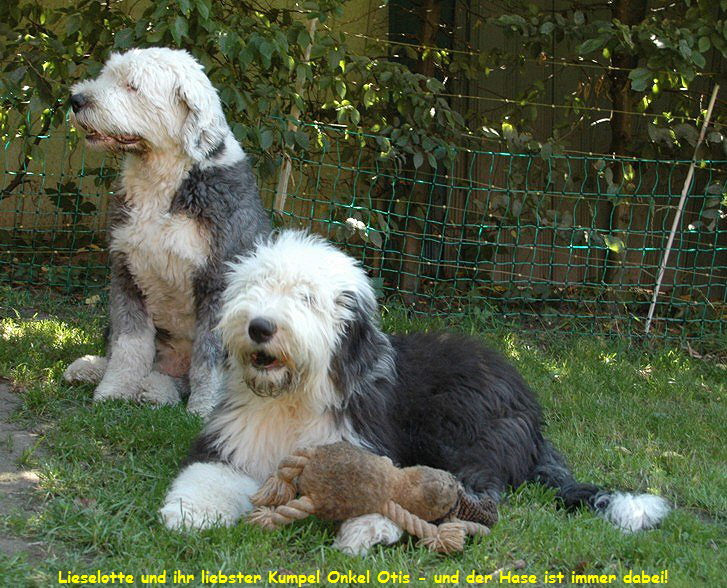 Lieselotte und ihr liebster Kumpel Onkel Otis - und der Hase ist immer dabei!