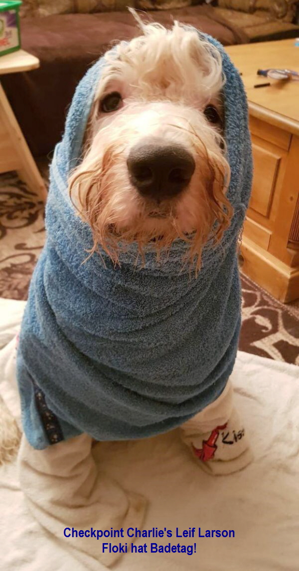 Checkpoint Charlie's Leif Larson
Floki hat Badetag!