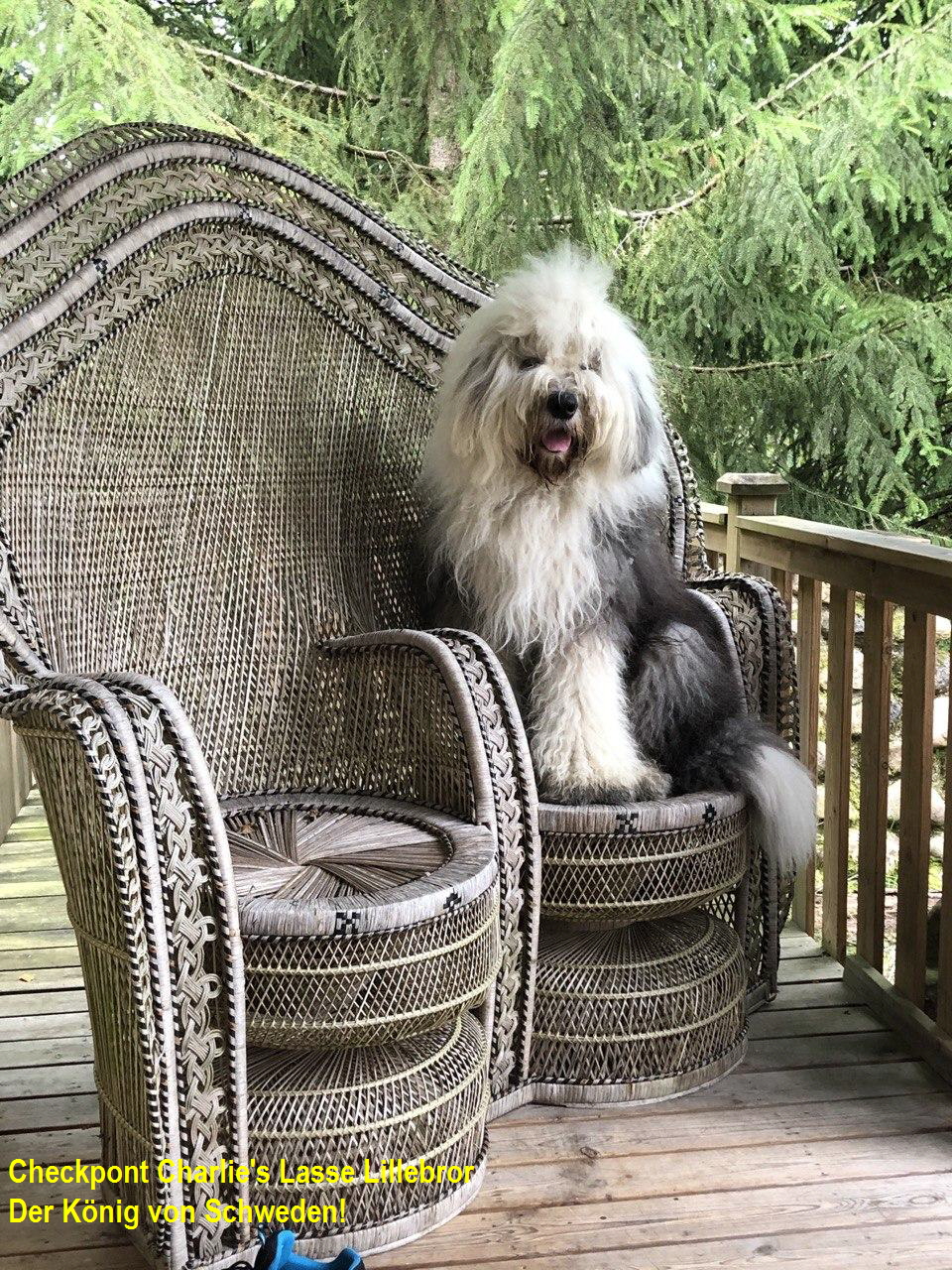 Checkpont Charlie's Lasse Lillebror  
 Der Knig von Schweden!