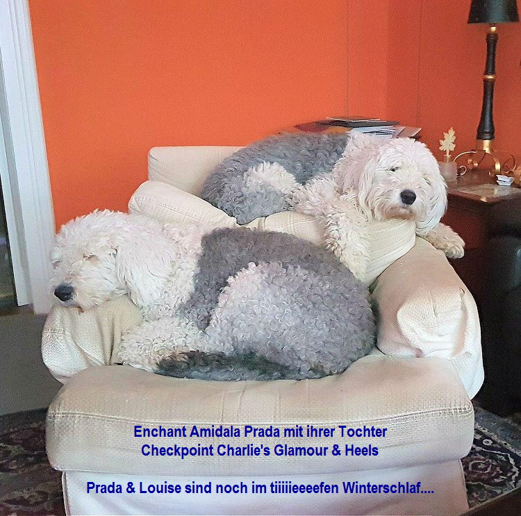 Enchant Amidala Prada mit ihrer Tochter
Checkpoint Charlie's Glamour & Heels

Prada & Louise sind noch im tiiiiieeeefen Winterschlaf....