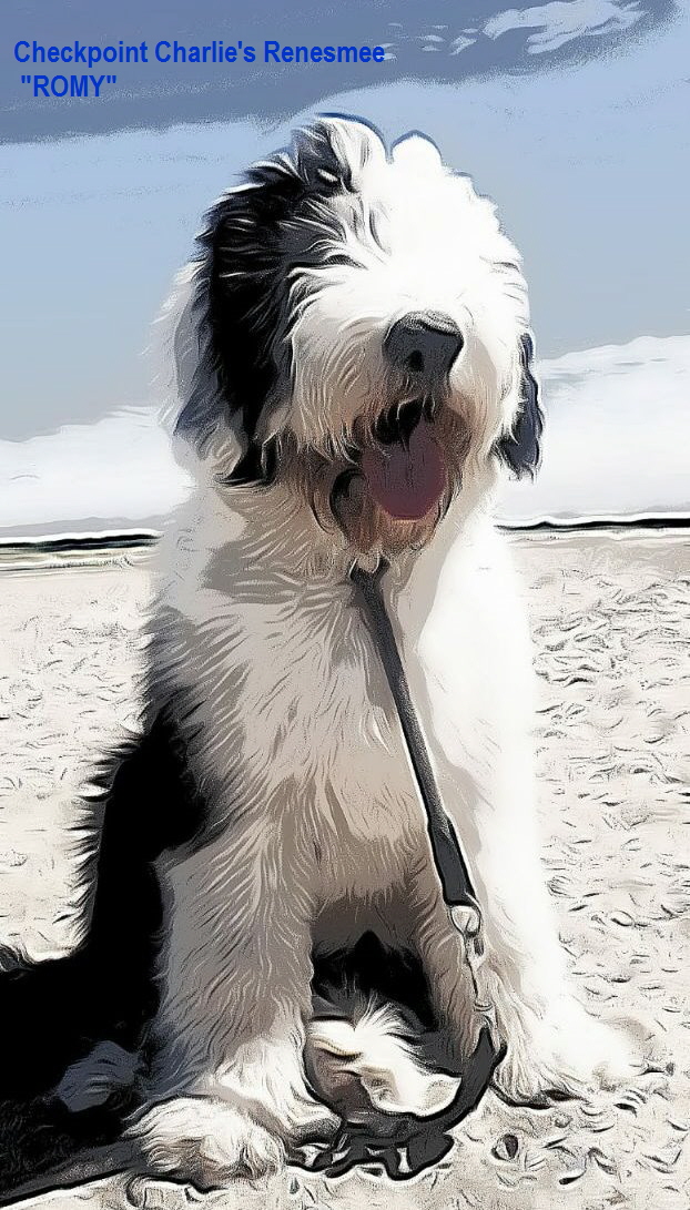 Checkpoint Charlie's Renesmee
   