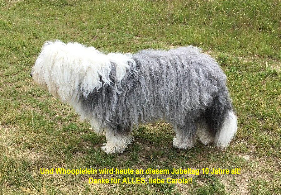Und Whoopielein wird heute an diesem Jubeltag 10 Jahre alt!
Danke fr ALLES, liebe Carola!!