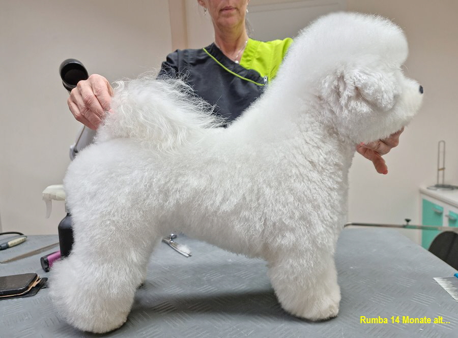 Rumba 14 Monate alt...