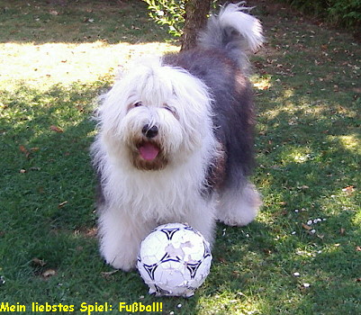 Ballspiel !