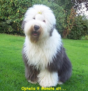 Ophelia 9 Monate alt...