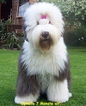 Ophelia 7 Monate alt...