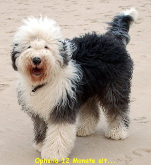 Ophelia 12 Monate alt...