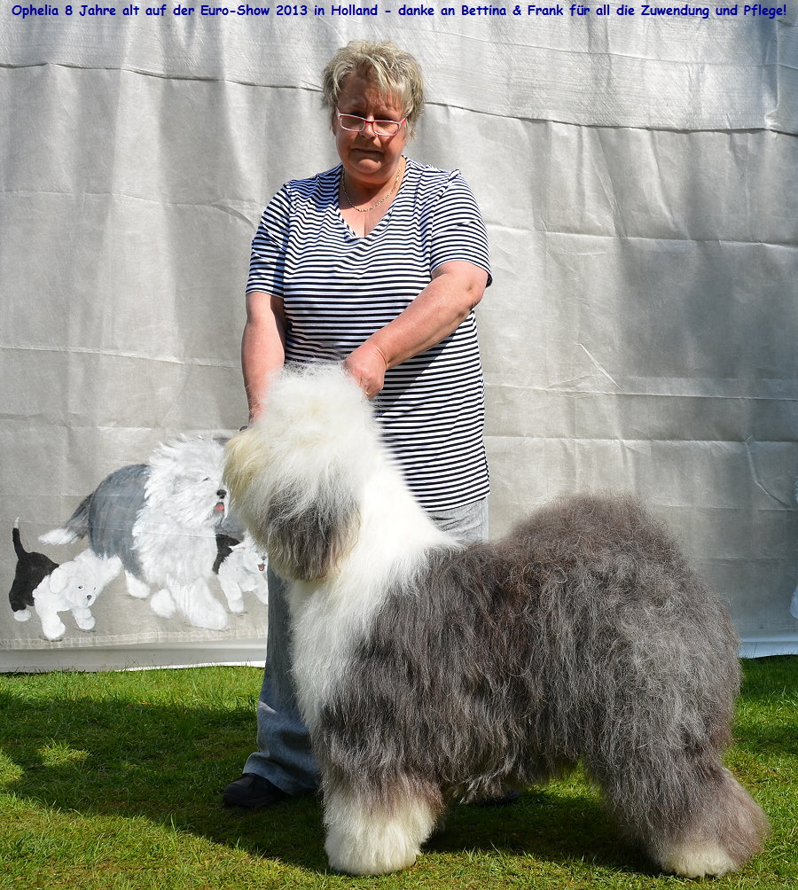 Ophelia 8 Jahre alt auf der Euro-Show 2013 in Holland - danke an Bettina & Frank fr all die Zuwendung und Pflege!