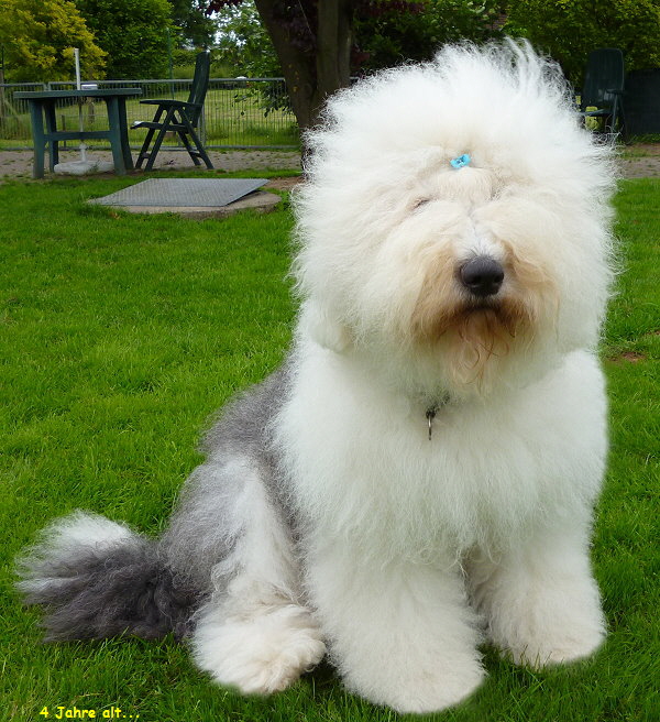 4 Jahre alt...