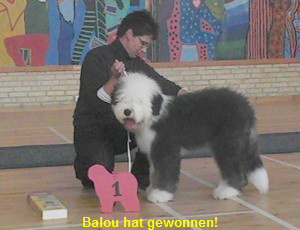 Balou hat gewonnen!