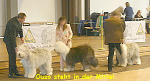 Ouzo steht in der Mitte!