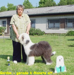 Gordon - gerade 6 Monate alt...