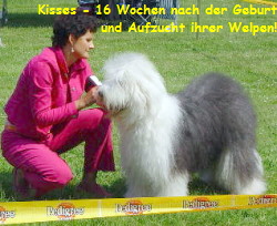 Kisses - 16 Wochen nach der Geburt
und Aufzucht ihrer Welpen!