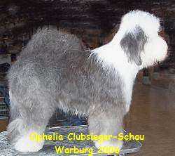 Ophelia Warburg 2006