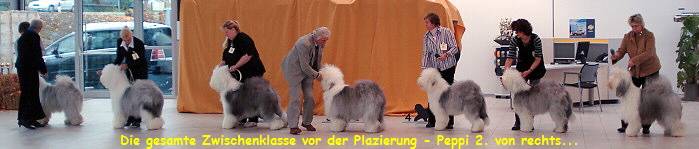 Die gesamte Zwischenklasse vor der Plazierung - Peppi 2. von rechts...