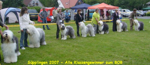Spplingen 2007 - Alle Klassengewinner zum BOB