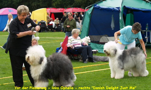 Vor der Plazierung - links Ophelia - rechts 