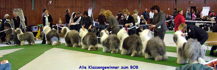 Alle Klassengewinner zum BOB
