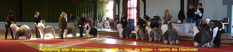 Aufstellung aller Klassengewinner zum BOB - links die Rden - rechts die Hndinnen