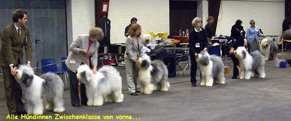 Alle Hndinnen Zwischenklasse von vorne...