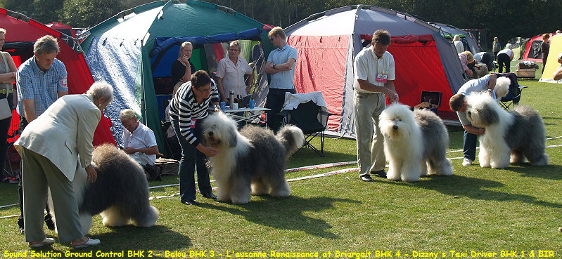 Sound Solution Ground Control BHK 2 - Balou BHK 3 - L'ausanne Renaissance at Briargait BHK 4 - Dizzny's Taxi Driver BHK 1 & BIR