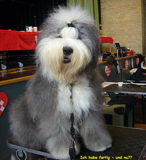 Ich habe fertig - und nu??