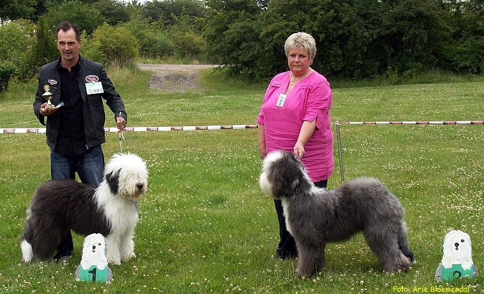 Foto: Arie Bloemendal