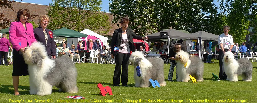 Dizzny'z Taxi Driver BIS - Checkpoint Charlie's Quasi Qualified - Shaggy Blue Bobs Here is George - L'ausanne Renaissance At Briargait