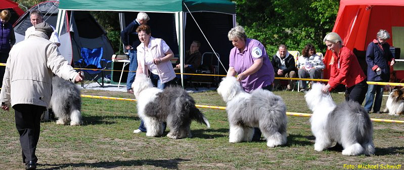 Foto: Michael Schmidt