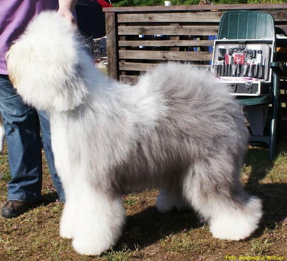 Foto: Roosmarie Wibier