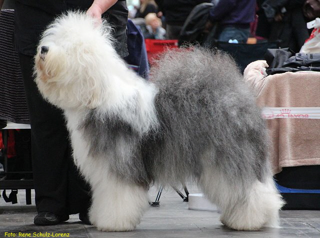 Foto: Rene Schulz-Lorenz