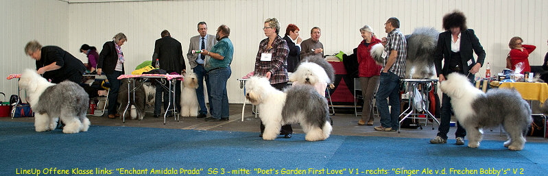 LineUp Offene Klasse links: 