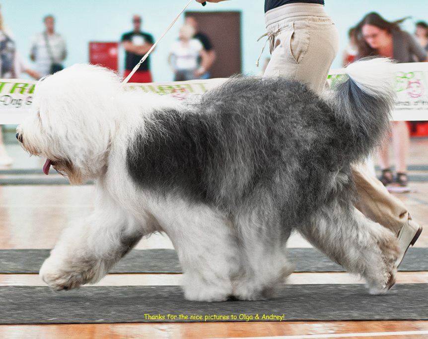 Thanks for the nice pictures to Olga & Andrey!