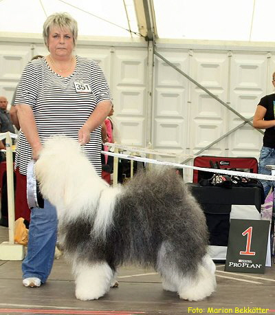 Foto: Marion Bekktter