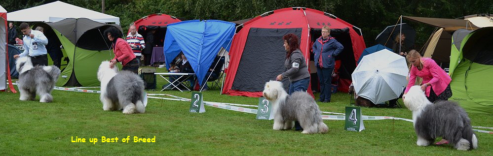 Line up Best of Breed