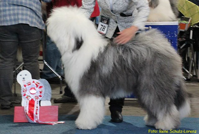 Foto: Rene Schulz-Lorenz