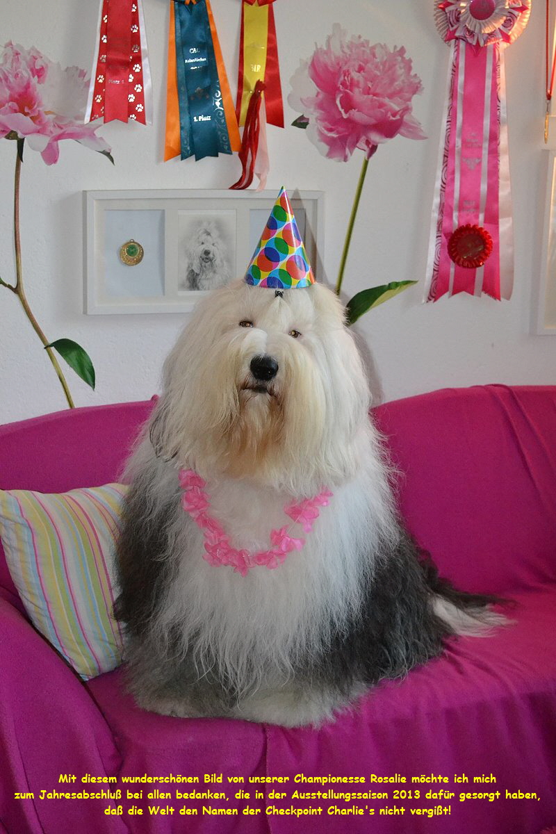 Mit diesem wunderschnen Bild von unserer Championesse Rosalie mchte ich mich
zum Jahresabschlu bei allen bedanken, die in der Ausstellungssaison 2013 dafr gesorgt haben,
da die Welt den Namen der Checkpoint Charlie's nicht vergit!