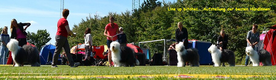 Line up bitches...Aufstellung der besten Hndinnen!