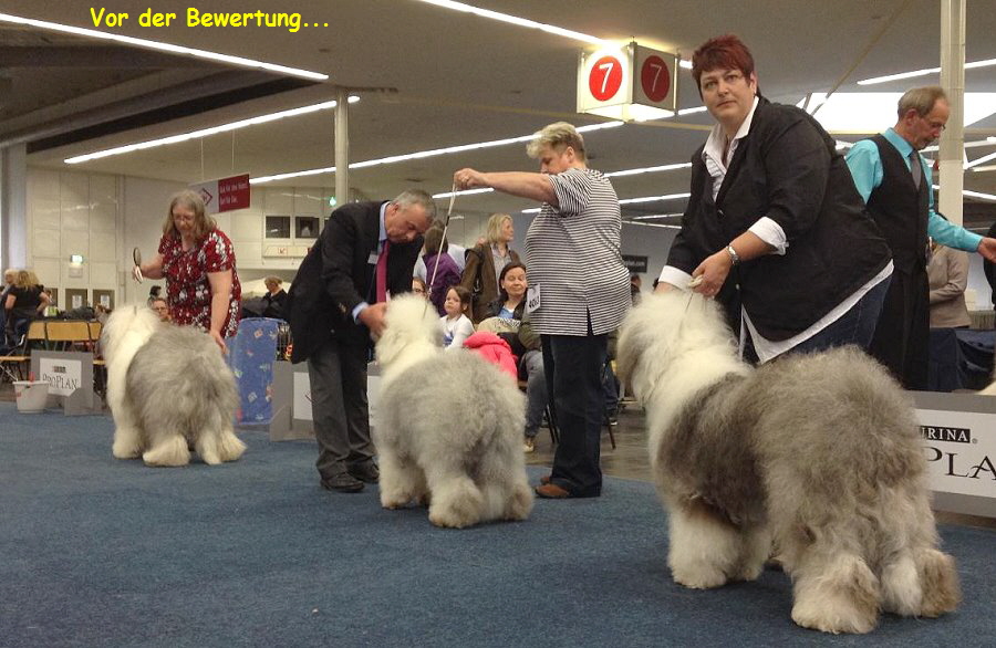 Vor der Bewertung...