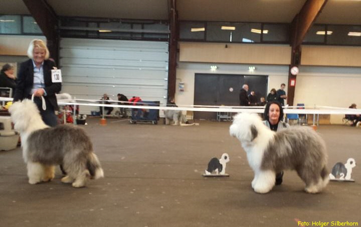 Foto: Holger Silberhorn