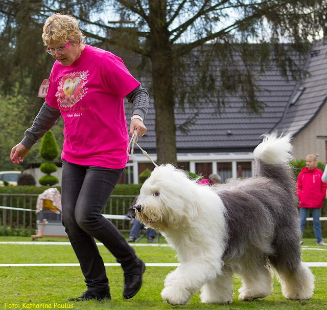 Foto: Katharina Paulus