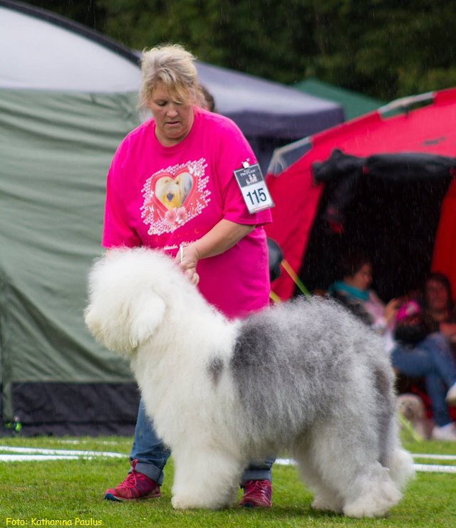 Foto: Katharina Paulus