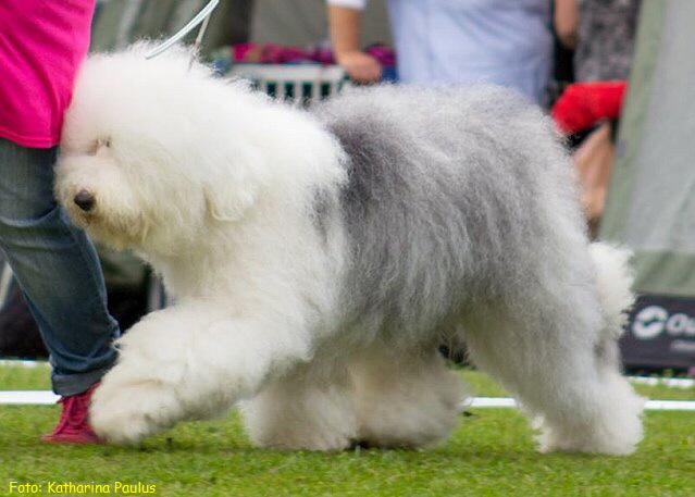 Foto: Katharina Paulus