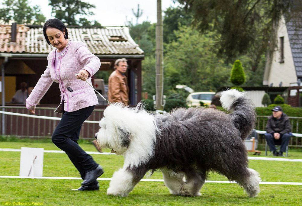 Foto: Katharina Paulus