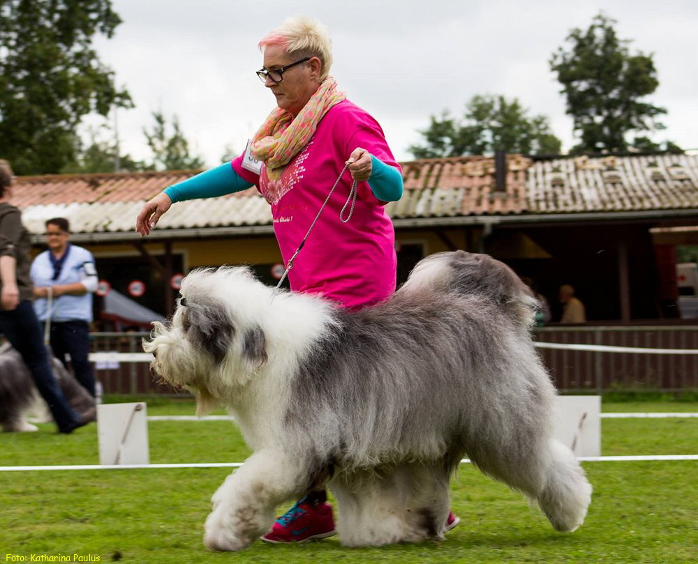 Foto: Katharina Paulus