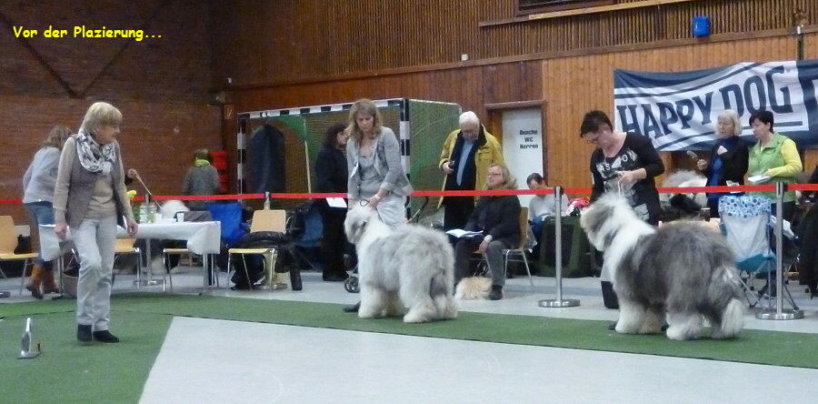 Vor der Plazierung...