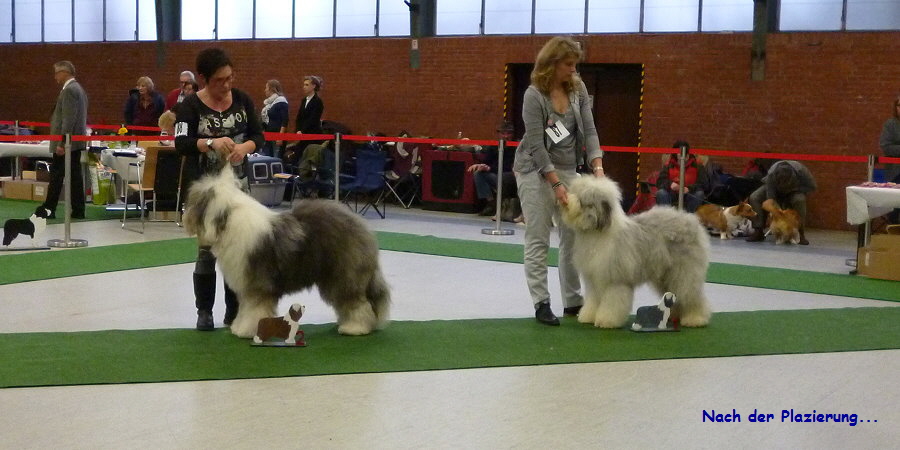 Nach der Plazierung...