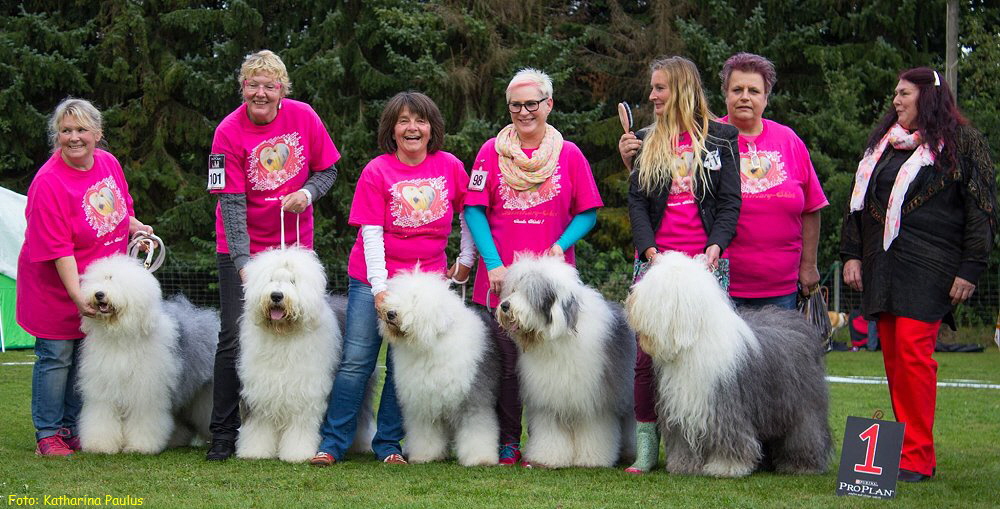 Foto: Katharina Paulus