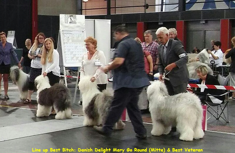 Line up Best Bitch: Danish Delight Mary Go Round (Mitte) & Best Veteran